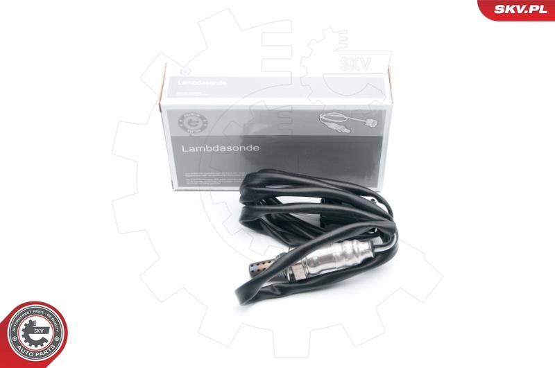 Oxygen Sensor